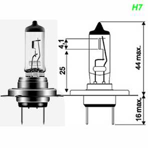 Mofa Halogen Glühlampe P45T 12 Volt Shop kaufen Schweiz