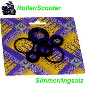 Centauro Simmerringsatz SIRI Satz Scooter Roller Ersatzteile Balsthal