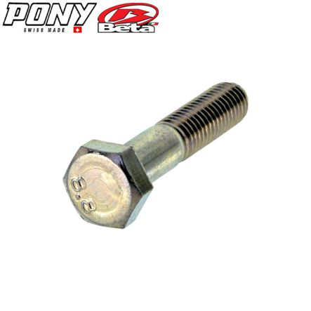 Schraube M10 x 45 mm zu Federbeine Pony Cross Mofa Shop kaufen